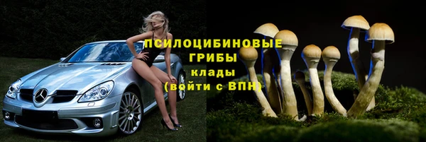 a pvp Алексеевка