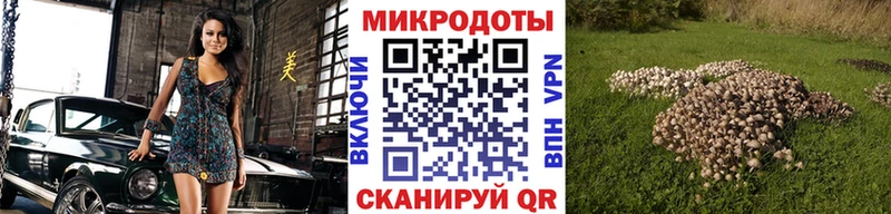 Псилоцибиновые грибы ЛСД  Печоры 